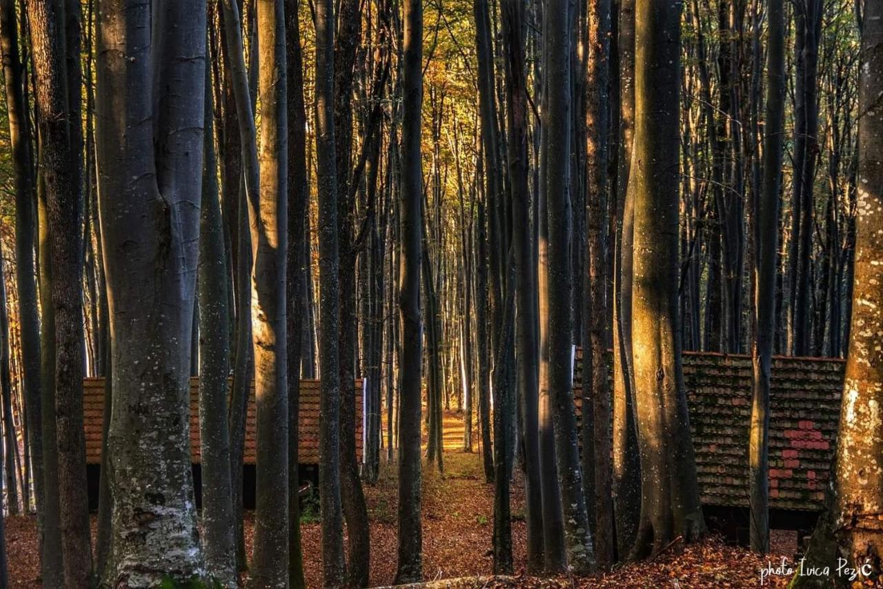Гостевой дом Ruralna Kuca Za Odmor Kablarovo Brdo Krnjak Экстерьер фото