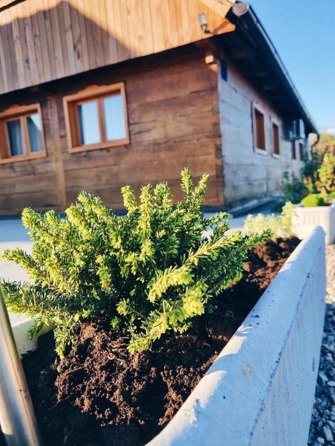 Гостевой дом Ruralna Kuca Za Odmor Kablarovo Brdo Krnjak Экстерьер фото